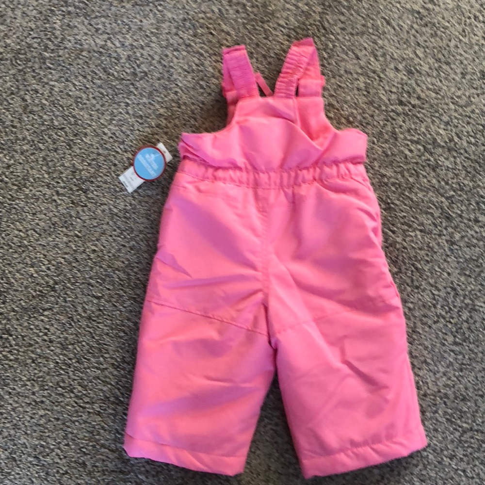 Ski Bib - Picture 2 of 3